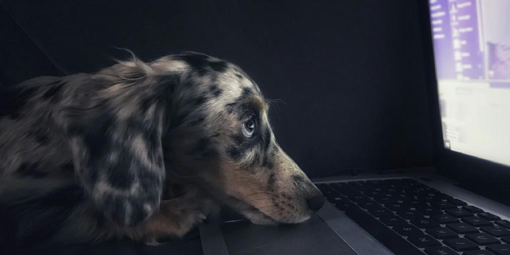 Rails Development with Docker Without Losing AutoReloading and AutoLoading Header Image