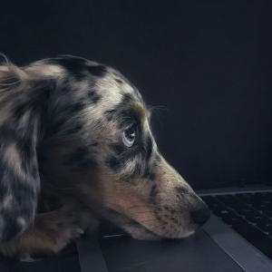 Rails Development with Docker Without Losing AutoReloading and AutoLoading