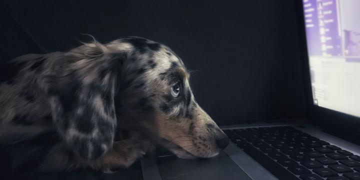 Rails Development with Docker Without Losing AutoReloading and AutoLoading
